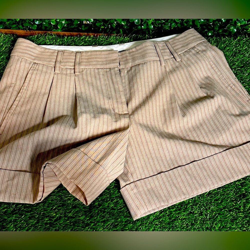 Express Design Studio Editor Size 4 Tan Pinstripe… - image 1
